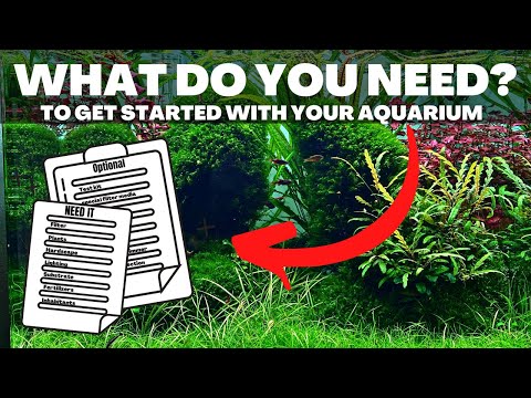 , title : 'HOW TO: GET STARTED WITH AN AQUARIUM? 10 THINGS YOU NEED!'