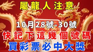 屬龍人注意！10月28號到30號，偏財號碼千萬別錯過，快記下這幾個號碼！財運一飛沖天！【梵心若素】#生肖 #運勢 #風水 #財運 #命理