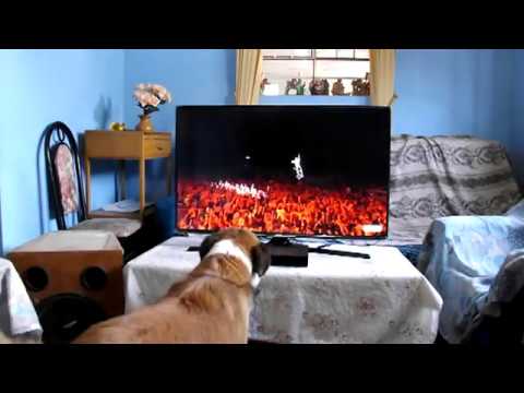 Unboxing Samsung Smart tv UN40J5300 + Blu-ray BD-H4500