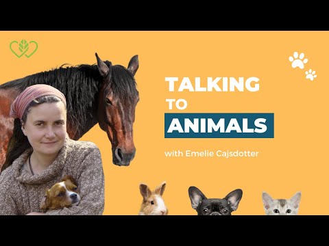 What Animals Can Teach Us – From Animal Empath Emelie Cajsdotter & Catherine Edwards