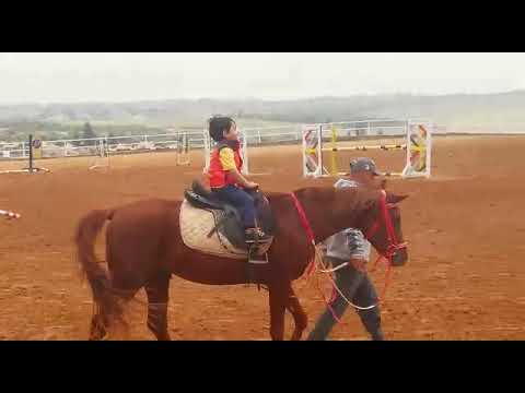 Sanad baby riding horse سند