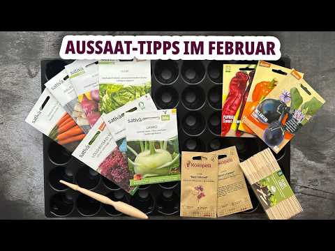 What should we sow in February? My sowing tips for a successful gardening season.