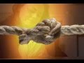 Tim Miller - Remember This Day