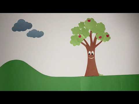 The Life of a Tree - stop motion animation