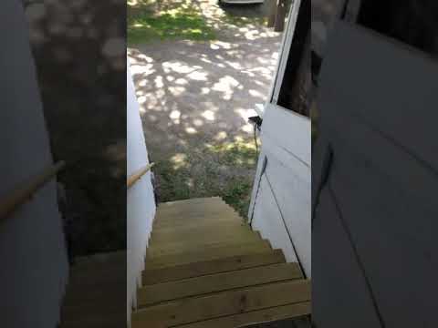 102 Park St - Video 2 of 2