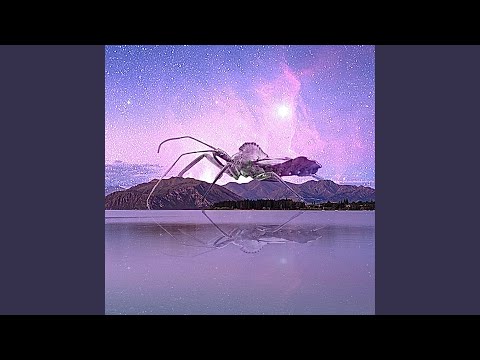 Shapes That Chose - Devynitely