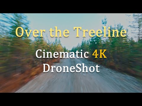 Over the Treeline: Calm Lapland Aerial Journey | 4K Drone Shot