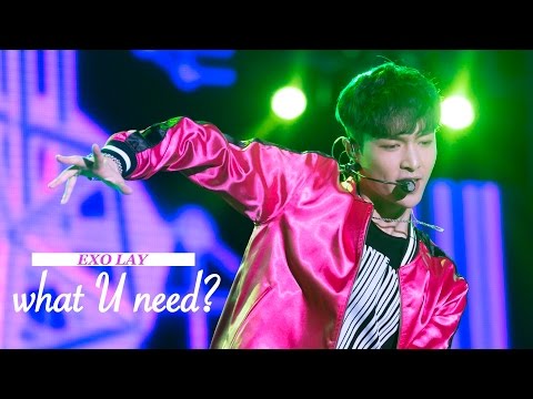 161009 what U need?/EXO LAY