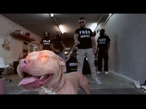 Daco x Flex-Wer (Official Video) #hannover #crew