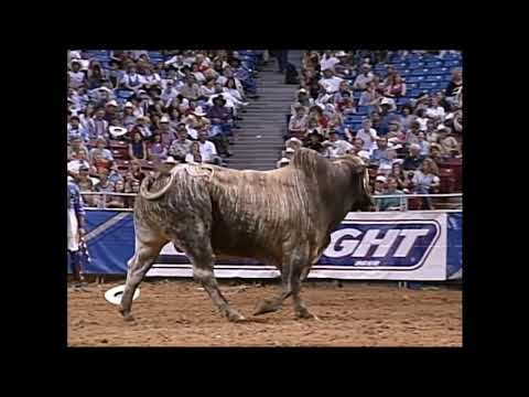 Grumpy bucks Barry Gullo - 96 PBR Sacramento