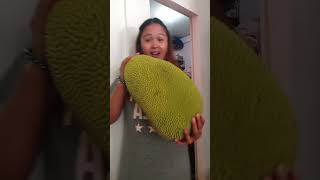 Download lagu Langka Day #shortsvideo #shorts #langka #jackfruit mp3 Download lagu Langka Day #shortsvideo #shorts #langka #jackfruit mp3