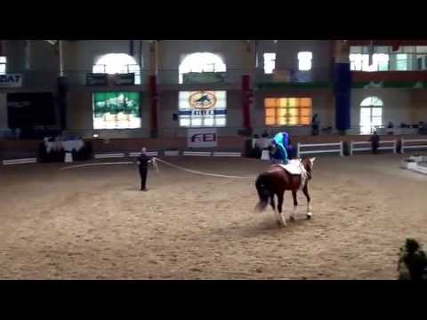 CVIO Stadl Paura 2014 - Julian Wilfling - Freestyle