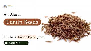 All About Cumin Seeds - Buy bulk Indian Spice from global Exporter 
