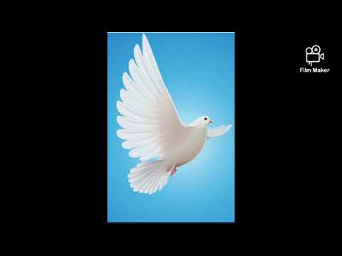 Plain hard n simple Jay Wize OtbQuay SCrump