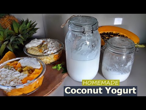 Homemade Coconut Yogurt from FRESH COCONUTS | TropicalVeganz