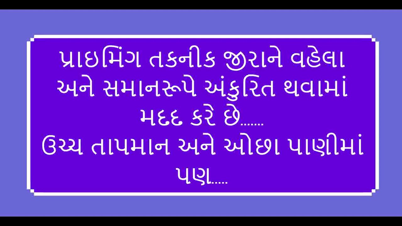 @Incotec Cumin Priming Technology in Gujarati
