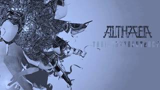 Trailer Trash Tracys / 100 Aspects of the Moon