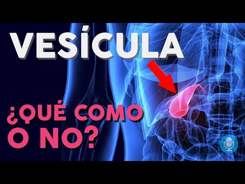 Vesicula 🚜 sirve?, para qué?