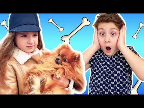 Как мы СНИМАЕМ Челлендж с Мария OMG? Наша СОБАКА Габи УКУСИЛ Аминку! Занимаемся СПОРТОМ на КАРАНТИНЕ