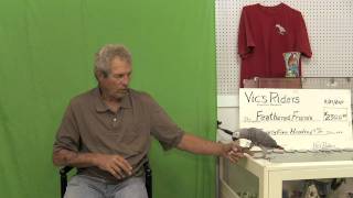 Feathered Friends Forever - Pepper