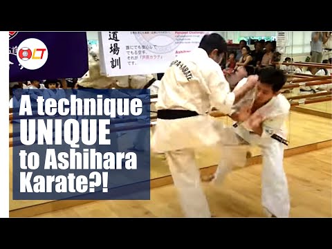 Ashihara Karate: The Cutting Kick