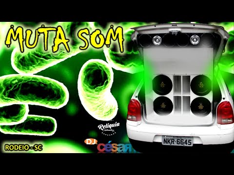 ELETRO DANCE PANCADÃO - CD MUTA SOM - DJ CÉSAR