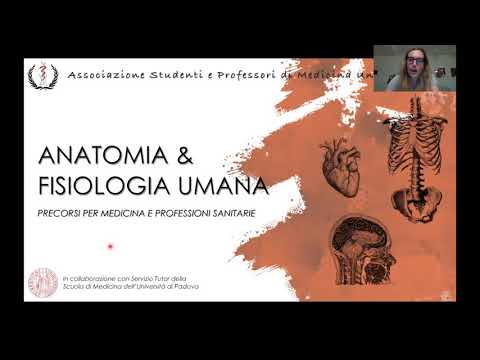 Anatomy Lesson 07 - Digestive System - Greta Gaggiato