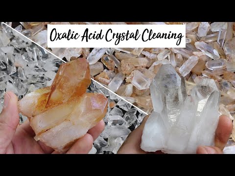 Oxalic acid crystals