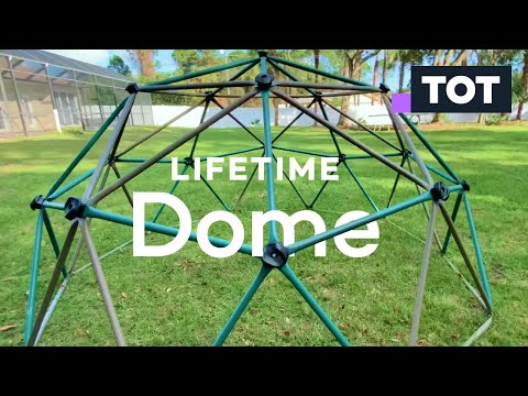 Lifetime Dome Climber (9 months later...)