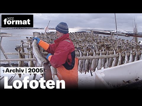 Lofoten: Ohne Dorsch kein Stockfisch - Dokumentation von NZZ Format (2005)