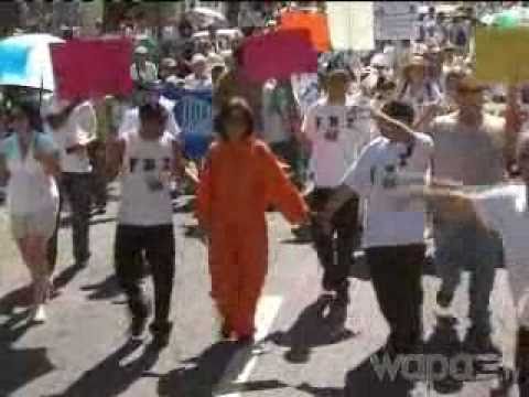 Noticentro 3/9/11 - Miles reclaman Justicia Para Lorenzo