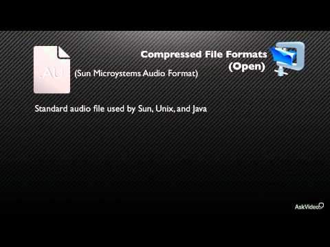 Game Audio 101: Demystifying Game Audio - 11. Audio File Formats