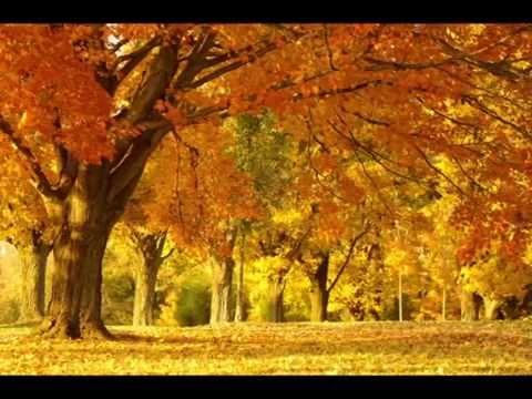 Autumn Leaves - Eva Cassidy