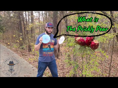 What is the Prickly Pear? 100 Sub Giveaway