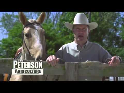 Dale Peterson for Alabama Agriculture Commissioner 2010