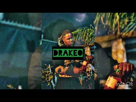 [FREE] Drakeo The Ruler x Daboii x type beat “Doggy Style” prod. @Bug_Mega