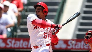 All of Gustavo Campero's 2025 Home Runs!