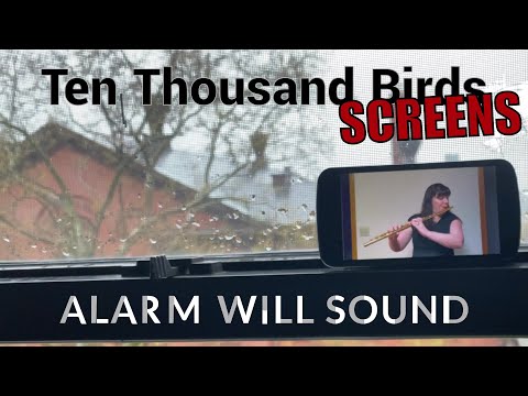 Ten Thousand Screens - Watch Video