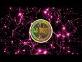 DJ EnSi Feat Kini WINI WINI Cover EnSi Remix