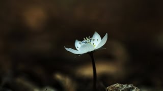 (착하지 않은 여자들 OST Part.1)-소녀와가로등 -어쿠스틱콜라보 -Acoustic Collabo _ A girl and streetlamp - Mp4 -