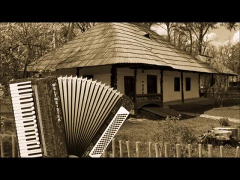 Ion Campan - Auzi un strain pribeag