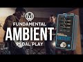 Walrus Audio Fundamental Series Ambient thumbnail 6