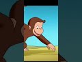 Curious George Is The Bomb Meme Wtf Fyp Memes Short Shorts Curiousgeorge Nuclear