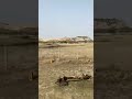 ️Zindagi Ek Safar Hai Suhana ️Song Status Andaz Kishore Kumar OldIsGold Shorts Viral