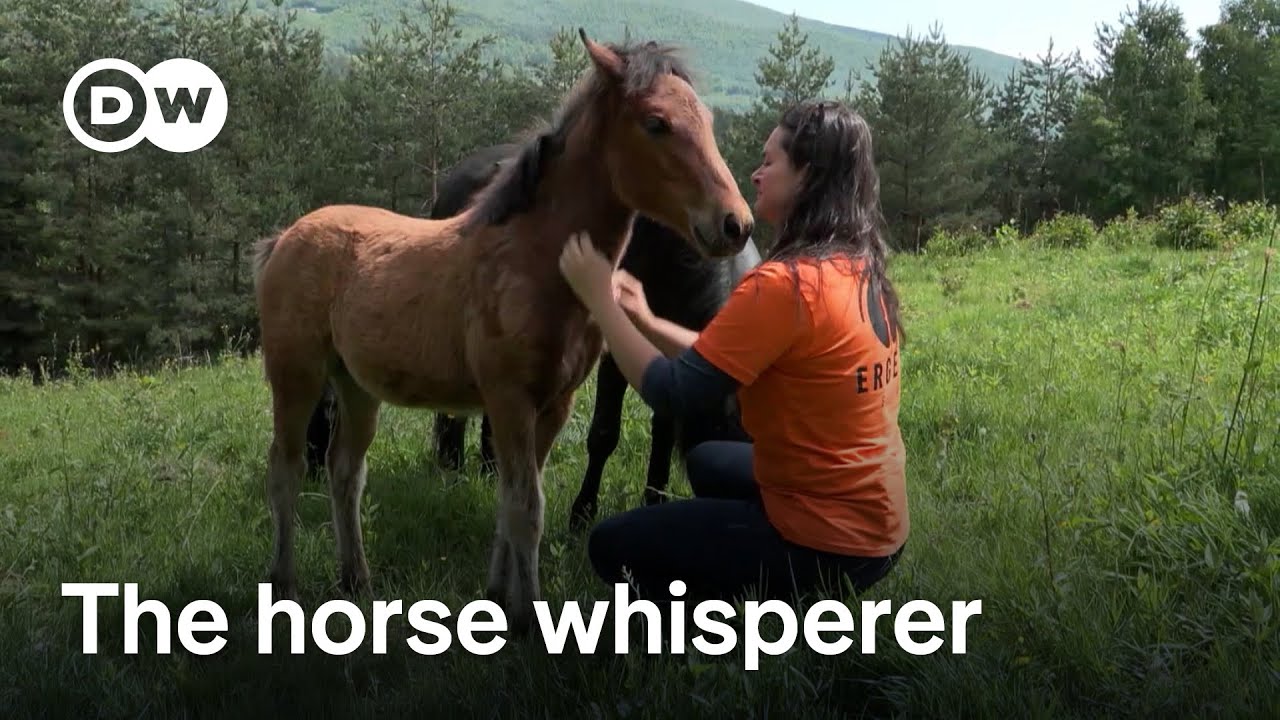 Bosnia and Herzegovina: The horse whisperer | Focus on Europe