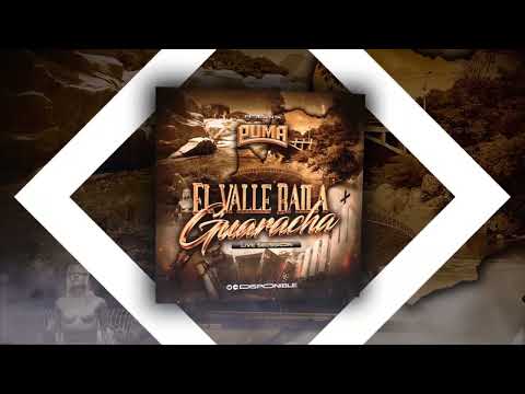 EL VALLE BAILA GUARACHA - MIXED BY PUMA DJ (GUARACHA 2024)