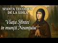 The Life Of Saint Theodora Of Sihla The Flower Of The Romanian Desert