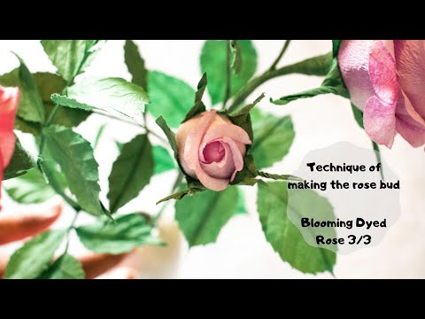 Making the rose bud technique:  Blooming Dyed Rose 3/3