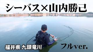 シーバス