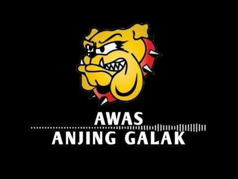 AWAS ANJING GALAK YouTube thumbnail